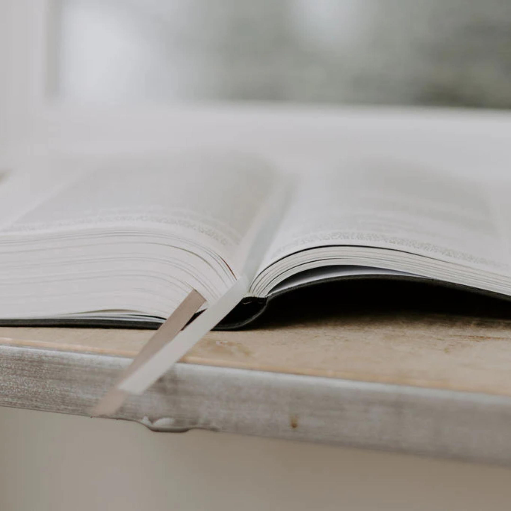 BIS Single-Column Catholic Journaling Bible (NRSV-CE, Imprimatur Approved)