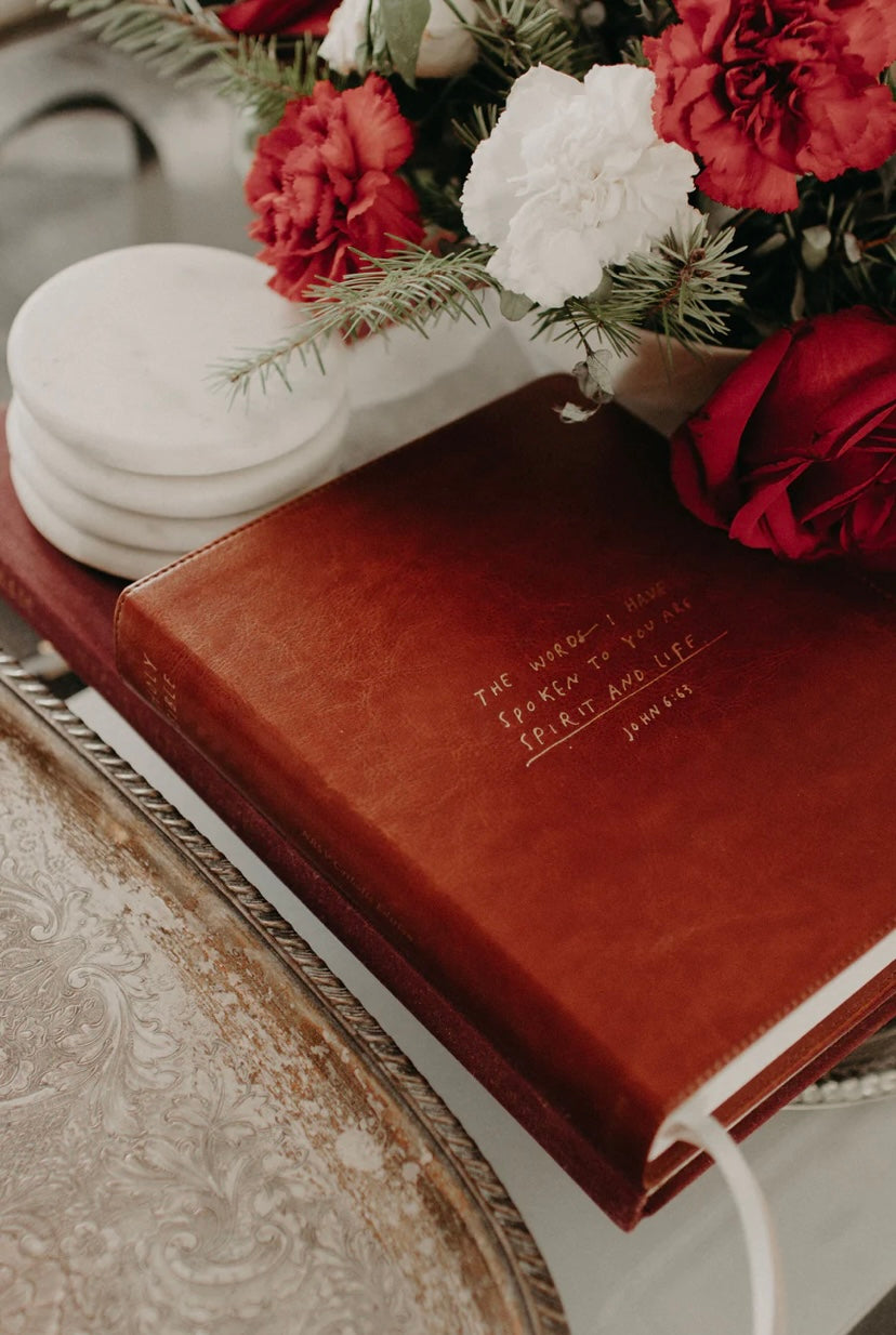 Catholic Journaling Bible (NRSV-CE)