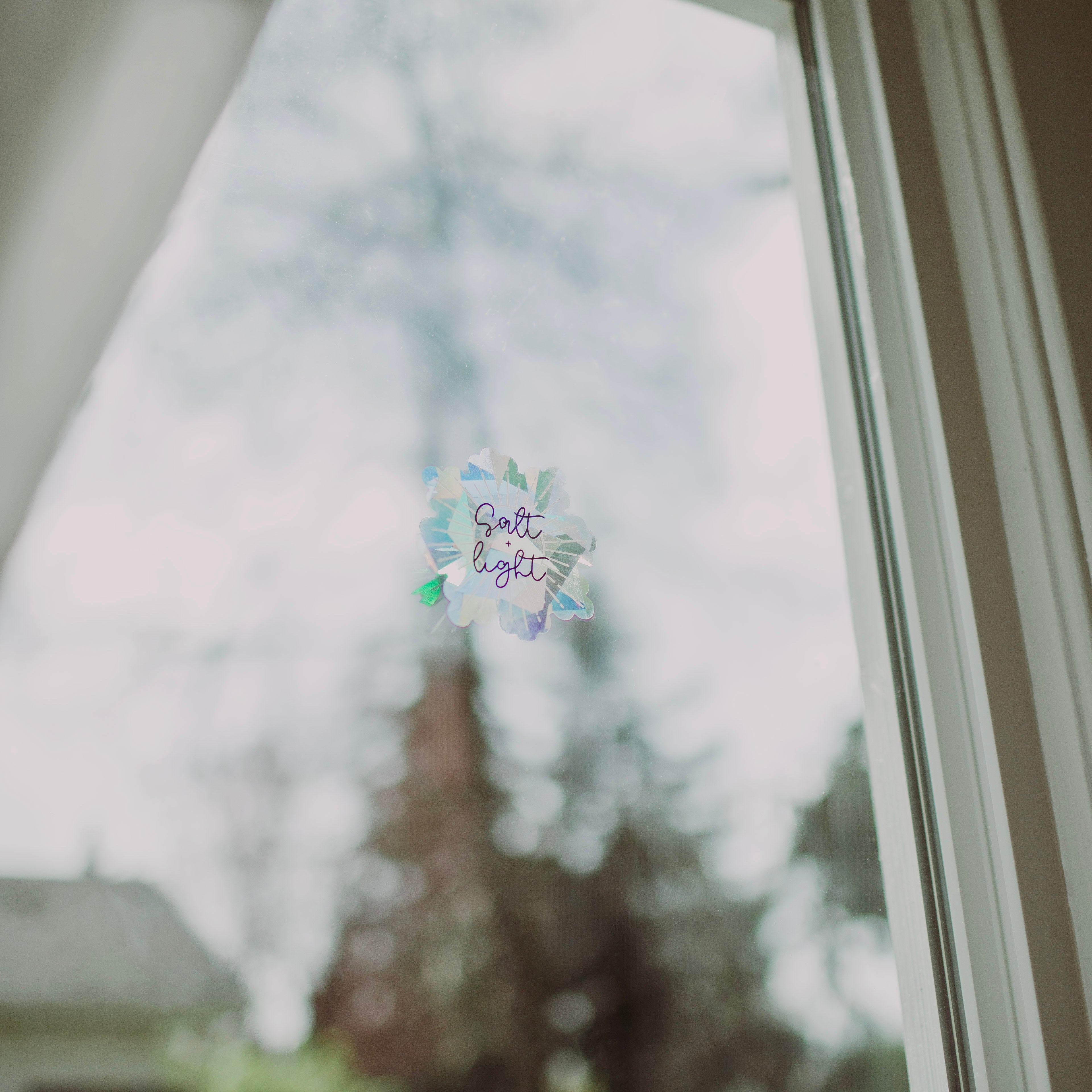 'Salt + Light' Suncatcher Sticker