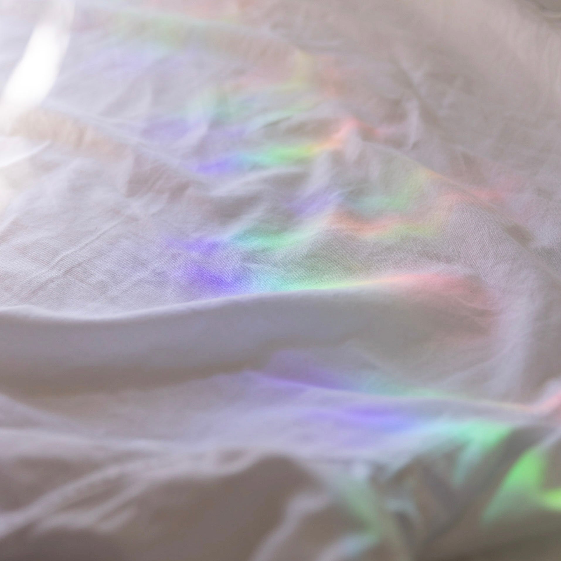 'Salt + Light' Suncatcher Sticker