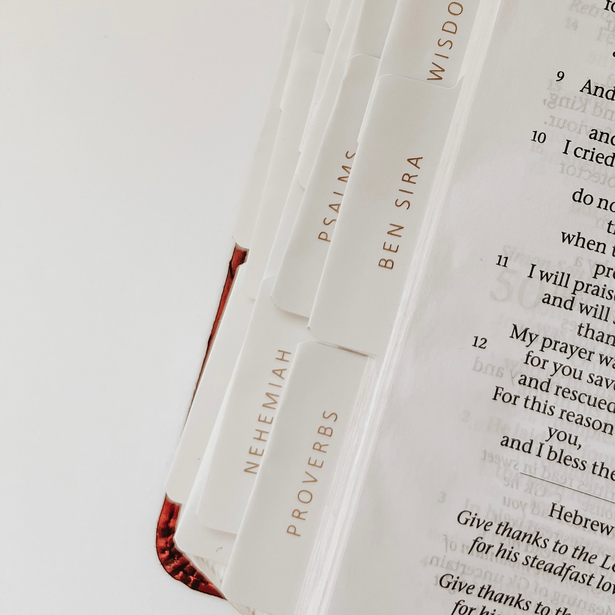 *PRE-ORDER* White + Gold Catholic Bible Tabs