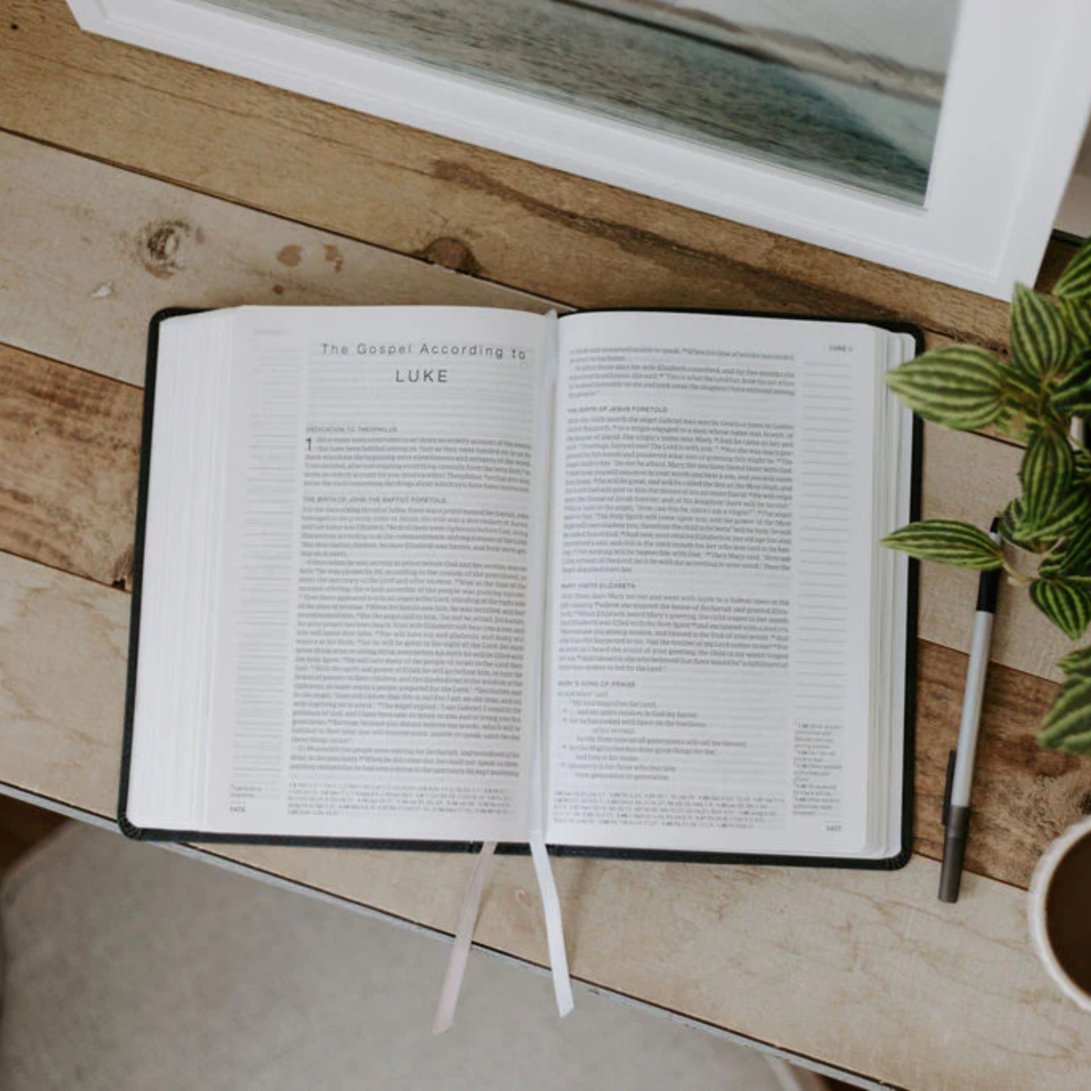 BIS Single-Column Catholic Journaling Bible (NRSV-CE, Imprimatur Approved)