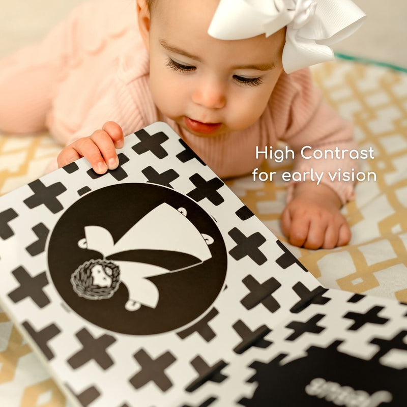 Baby’s First High Contrast Catholic Board Book